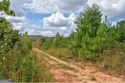 0 Old Salem Road, Watkinsville, GA 30677 - Photo 6