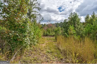 0 Old Salem Road, Watkinsville, GA 30677 - Photo 8