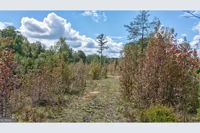 0 Old Salem Road, Watkinsville, GA 30677 - Photo 18