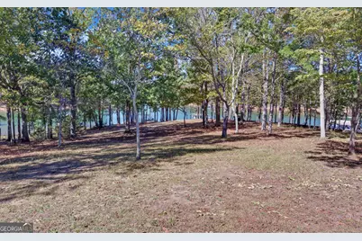 175 Nelle Drive, Hartwell, GA 30643 - Photo 42