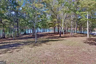 175 Nelle Dr, Hartwell, GA 30643 - Photo 42