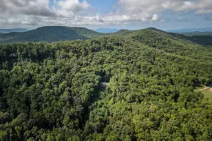 209 Stavanger Rd, Morganton, GA 30560 - Photo 38