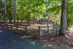 1380 Carriage Ridge Dr, Greensboro, GA 30642 - Photo 48