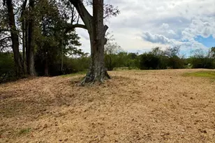 3614 Hwy 72, Carlton, GA 30627 - Photo 42