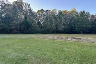 216 Skye Vw Dr, Statesboro, GA 30458 - Photo 6