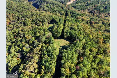 523 Long Branch Road, Ranger, GA 30734 - Photo 50