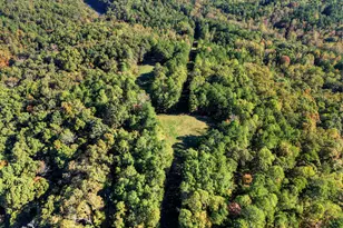 523 Long Branch Rd, Ranger, GA 30734 - Photo 50