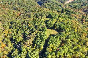 523 Long Branch Rd, Ranger, GA 30734 - Photo 6