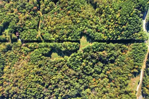 523 Long Branch Rd, Ranger, GA 30734 - Photo 12