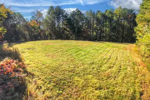 523 Long Branch Rd, Ranger, GA 30734 - Photo 10