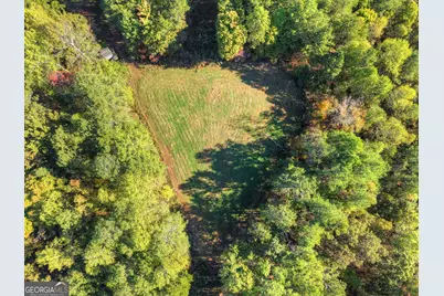 523 Long Branch Road, Ranger, GA 30734 - Photo 8