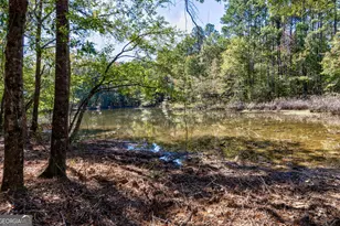 392 Ga Hwy 74, Molena, GA 30258 - Photo 26