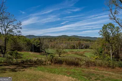 7590 Mobile Road, Blue Ridge, GA 30513 - Photo 54