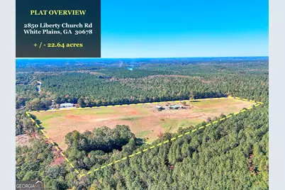2850 Liberty Church Road, White Plains, GA 30678 - Photo 30
