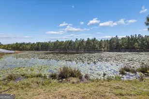 455 Tondee Wy, Midway, GA 31320 - Photo 48