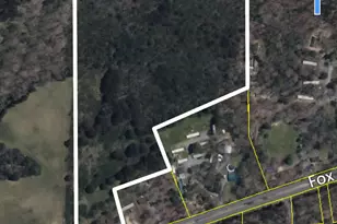 0 Fox Bridge Rd, Chatsworth, GA 30705 - Photo 2