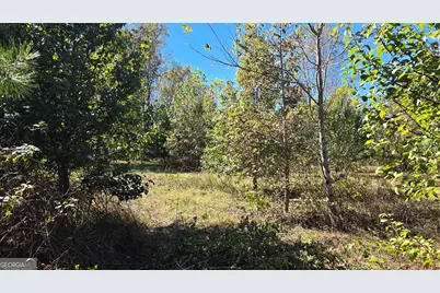 0 Fox Bridge Road, Chatsworth, GA 30705 - Photo 14