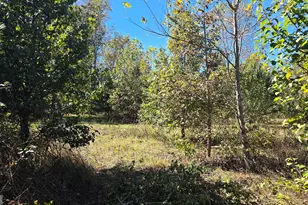 0 Fox Bridge Rd, Chatsworth, GA 30705 - Photo 14