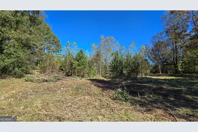 0 Fox Bridge Road, Chatsworth, GA 30705 - Photo 4