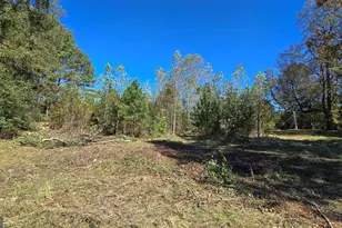 0 Fox Bridge Rd, Chatsworth, GA 30705 - Photo 4