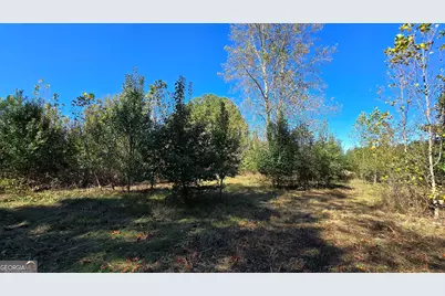 0 Fox Bridge Road, Chatsworth, GA 30705 - Photo 10