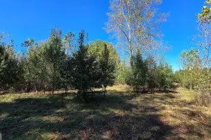 0 Fox Bridge Rd, Chatsworth, GA 30705 - Photo 10