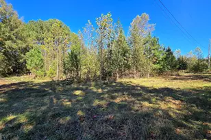 0 Fox Bridge Rd, Chatsworth, GA 30705 - Photo 8