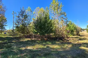 0 Fox Bridge Rd, Chatsworth, GA 30705 - Photo 12