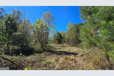 0 Fox Bridge Road, Chatsworth, GA 30705 - Photo 18