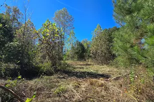 0 Fox Bridge Rd, Chatsworth, GA 30705 - Photo 18