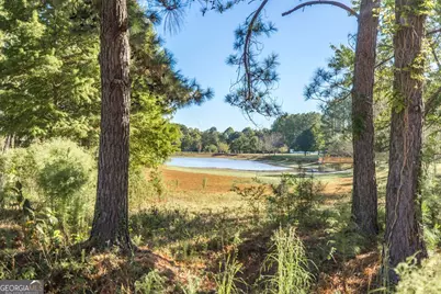 119 William D Street, Cochran, GA 31014 - Photo 40