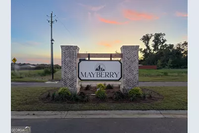 208 Aunt Bee Boulevard, Statesboro, GA 30458 - Photo 20