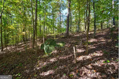 1 Bridges Road, Carlton, GA 30627 - Photo 24