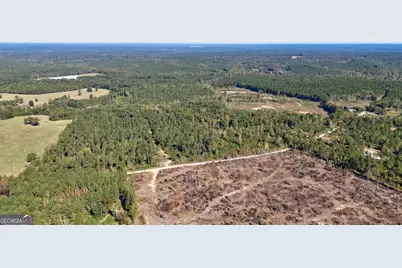 1 Bridges Road, Carlton, GA 30627 - Photo 28