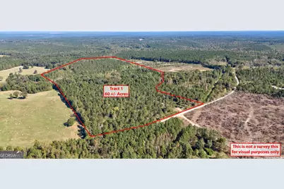 1 Bridges Road, Carlton, GA 30627 - Photo 2