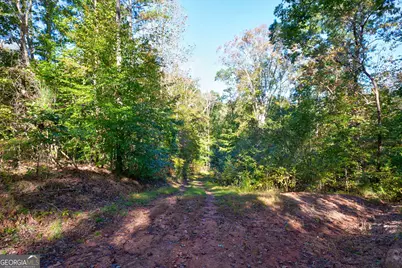 1 Bridges Road, Carlton, GA 30627 - Photo 14
