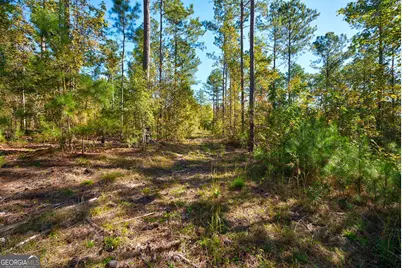 1 Bridges Road, Carlton, GA 30627 - Photo 10