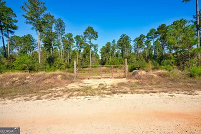 1 Bridges Road, Carlton, GA 30627 - Photo 4