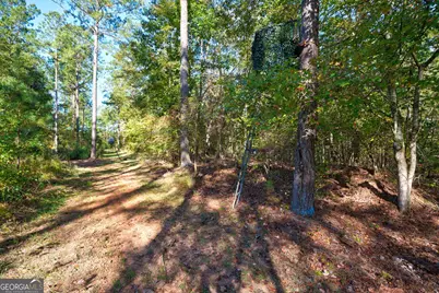1 Bridges Road, Carlton, GA 30627 - Photo 12
