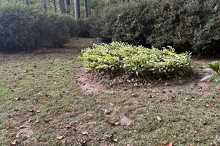 97 Club Cir, Stockbridge, GA 30281 - Photo 52