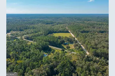 43 Dutch Road, Hortense, GA 31543 - Photo 2