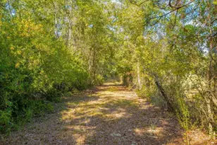 43 Dutch Rd, Hortense, GA 31543 - Photo 32