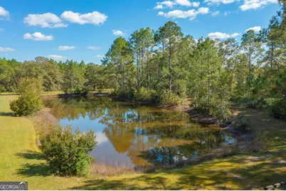 43 Dutch Road, Hortense, GA 31543 - Photo 30