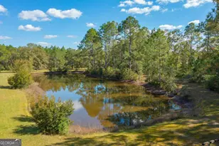 43 Dutch Rd, Hortense, GA 31543 - Photo 30