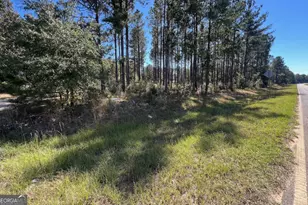 6055 Sun Hill Grange Rd, Davisboro, GA 31018 - Photo 26