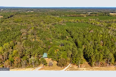 80 Shannon Road, Newnan, GA 30263 - Photo 62