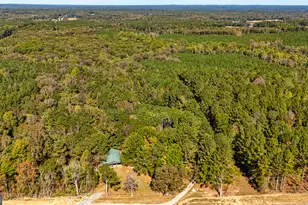 80 Shannon Rd, Newnan, GA 30263 - Photo 62