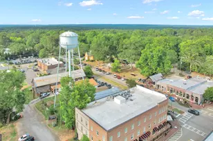 360 Walden Pond Way, Senoia, GA 30276 - Photo 80