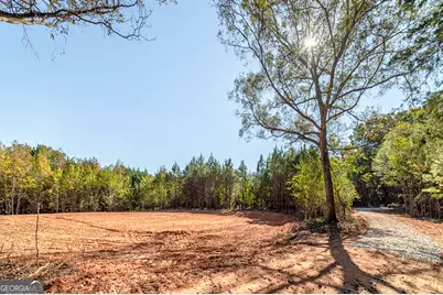 667 Jenkinsburg Road, Locust Grove, GA 30248 - Photo 4