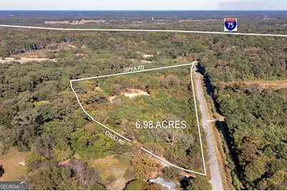 667 Jenkinsburg Road, Locust Grove, GA 30248 - Photo 8